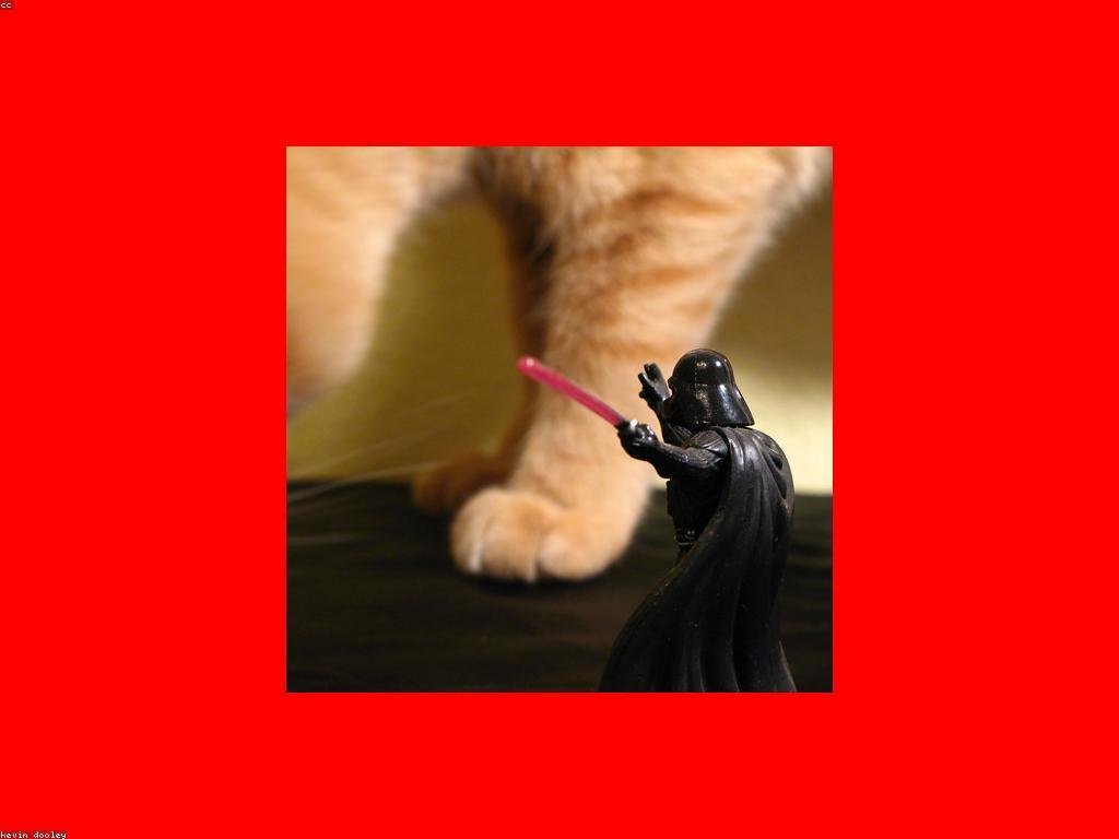 រង្វាន់ប្រចាំឆ្នាំ: ការប្រកួតនិងការផ្ដល់រង្វាន់