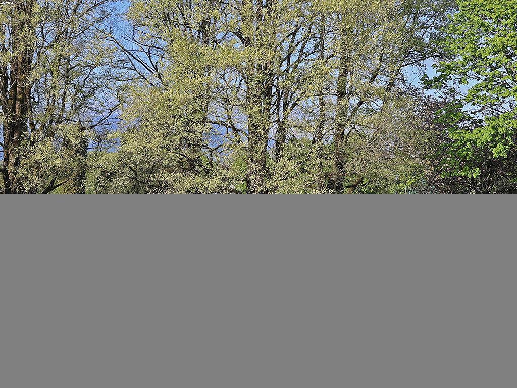 ការណែនាំសម្រាប់អ្នកថ្មី