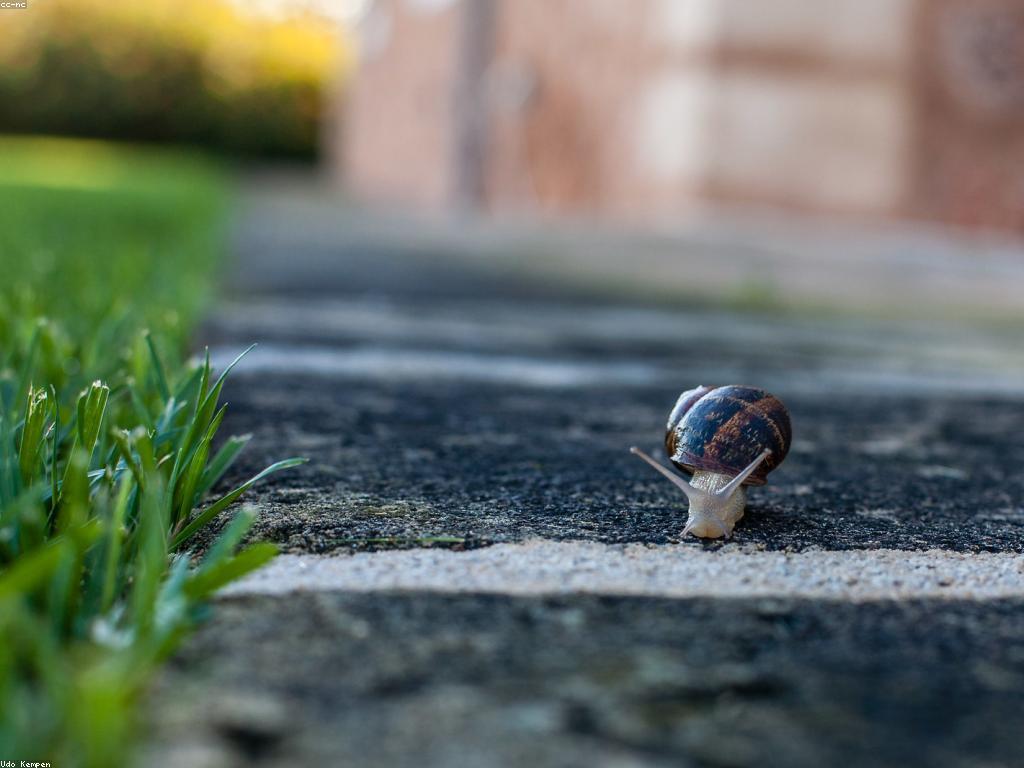 រង្វាន់ធំក្នុងការសិក្សា