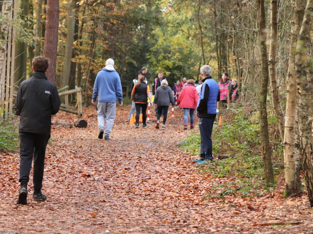 វិធីសាស្ត្រដ៏មានប្រសិទ្ធភាពសម្រាប់សុខភាពផ្លូវចិត្ត