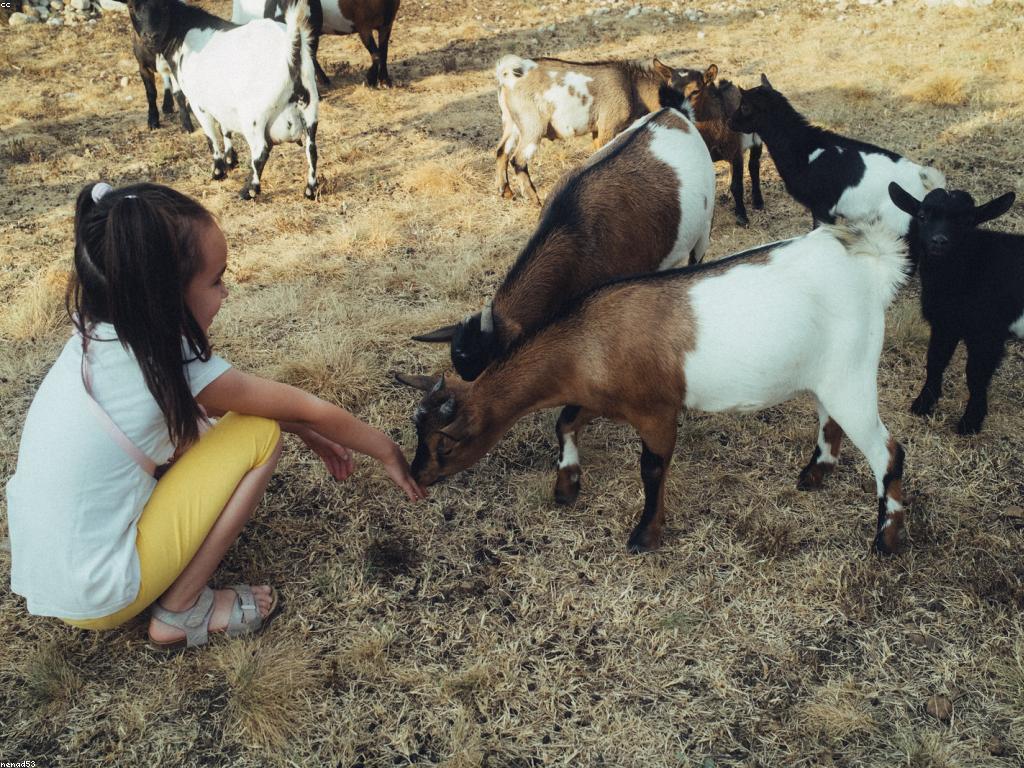 សារៈសំខាន់នៃរូបភាពក្នុងការរចនានាពេលថ្មីៗនេះ